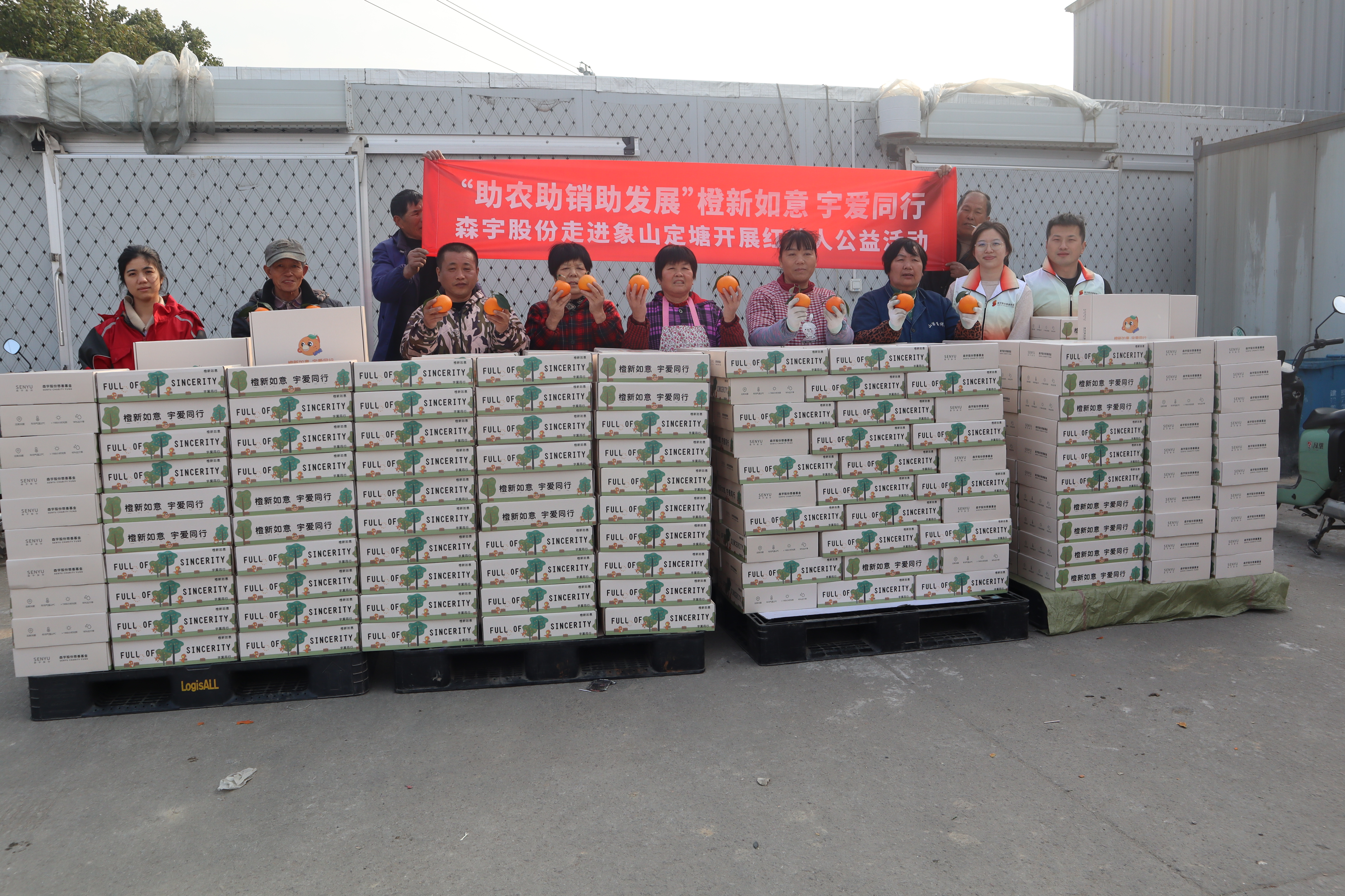暖冬甜蜜丰收季 304永利集团官网入口善行助农新“橘”面